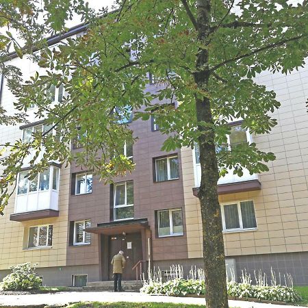 Siauliai Central Spot Apartment - Draugystes Pr. Exterior photo